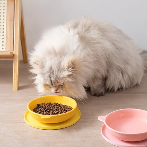 Meal Mats